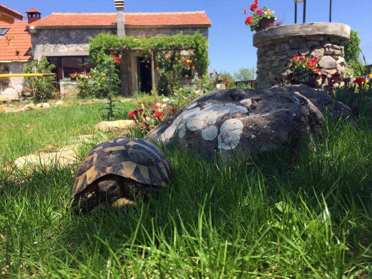 Villa Kuca Za Odmor Joko I Jeka Bogatić Exterior foto