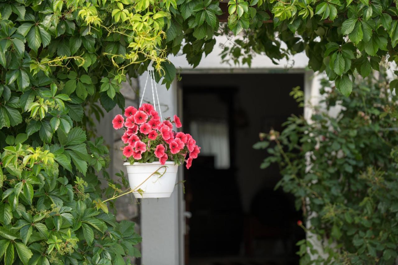 Villa Kuca Za Odmor Joko I Jeka Bogatić Exterior foto